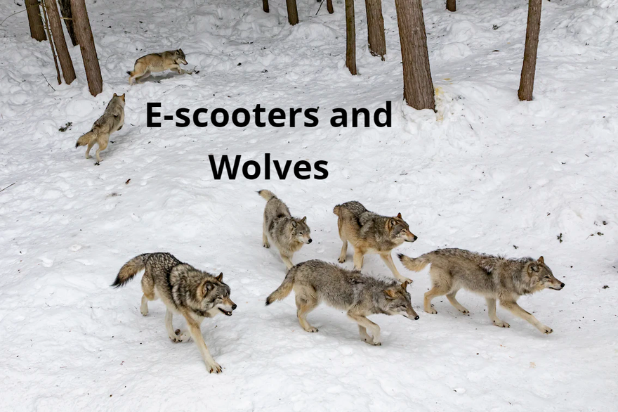 Impulsive Thinking and what E-scooters and Wolves Teach us to Cope with it